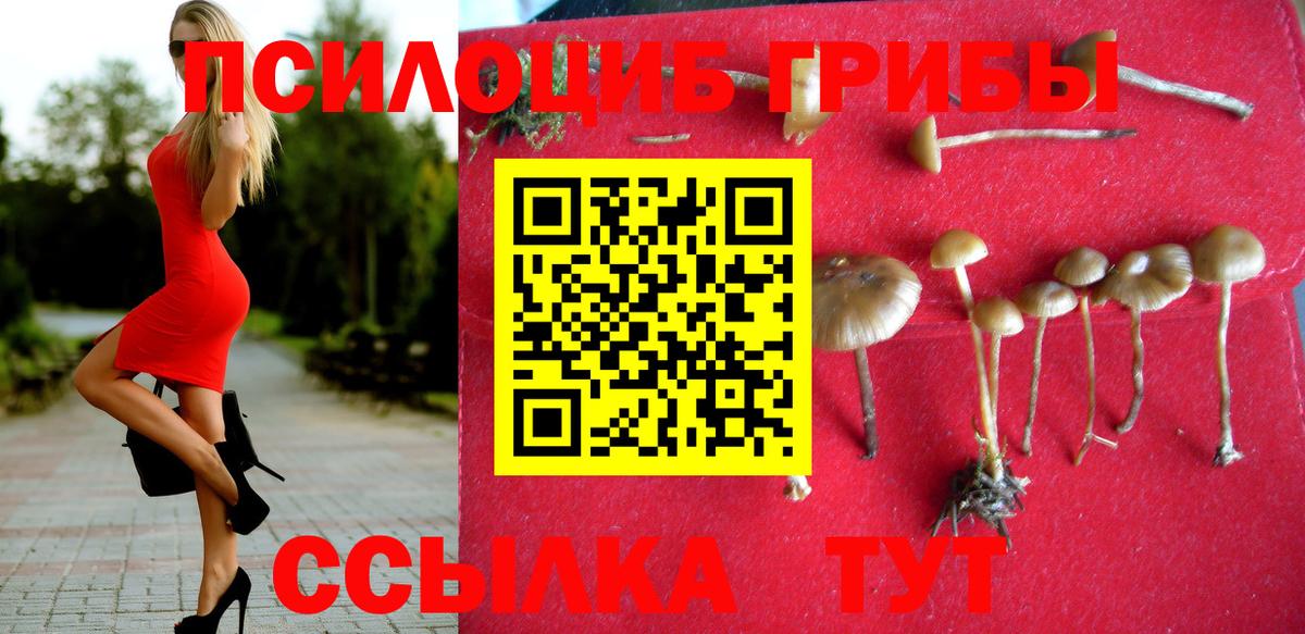 Галлюциногенные грибы мухоморы  Вход с VPN  Галлюциногенные грибы Cubensis  сколько стоит  Заволжье 