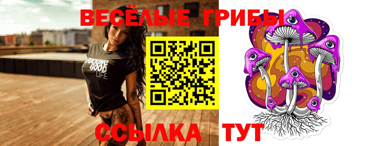 Псилоцибиновые грибы Cubensis Заволжье